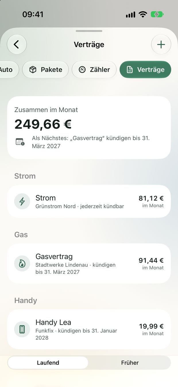Verträge: zusammen 249,66 Euro im Monat, als Nächstes Gasvertrag kündigen.