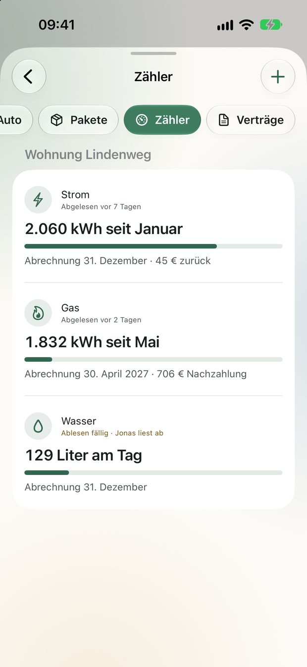 Zähler: Strom 2.060 kWh seit Januar, 45 Euro zurück; Gas mit 706 Euro Nachzahlung.
